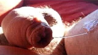 Prostate Milking - porn video
