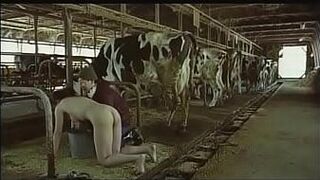 scenes - porn video
